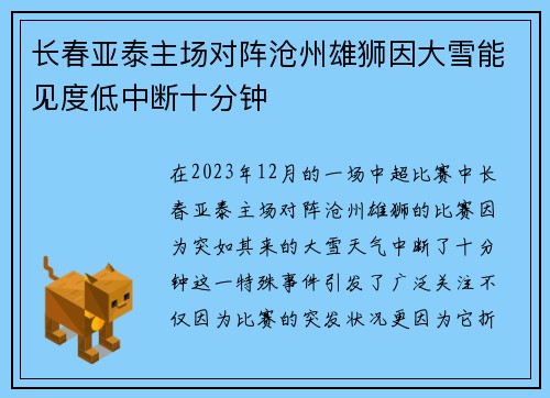 长春亚泰主场对阵沧州雄狮因大雪能见度低中断十分钟 长春亚泰主场对阵沧州雄狮因大雪能见度低中断十分钟